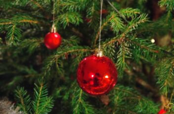 IMG_20211224_180640_Bokeh (Stor)