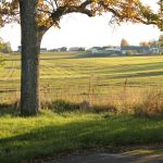Uteområde